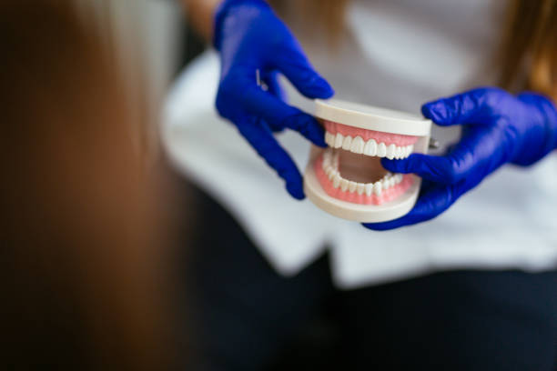 Pharr, TX  Holistic Dental Services Company